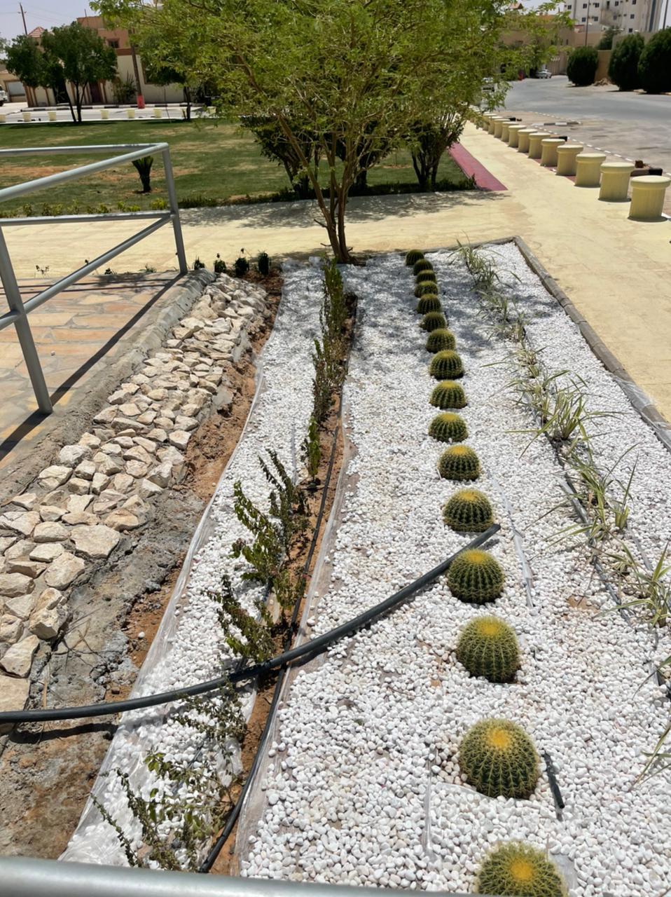 صورة المعرض